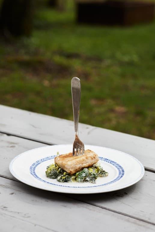 Fisk og blåskjell med stuet grønnkål