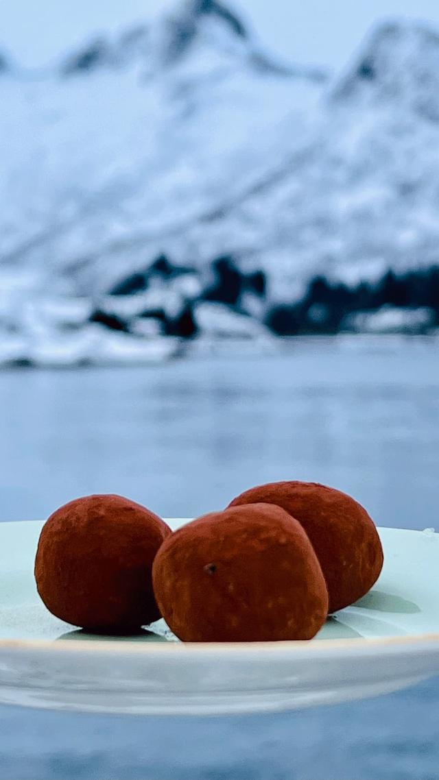 Fudgy Chocolate Bliss Balls