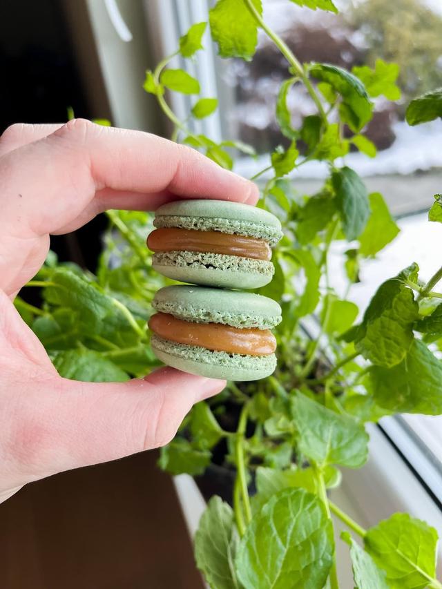 Salted caramel macarons