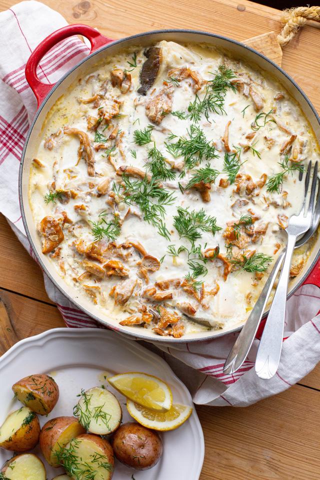 Ovnsbakt kveite med kantareller, fløte og dill